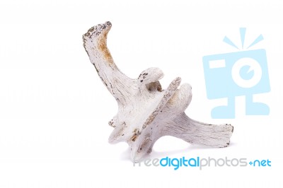 Back Spine Bone Of Sheep Stock Photo