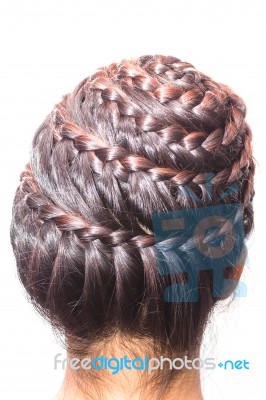 Back View Image Of Beautiful Braid Hair Stock Photo