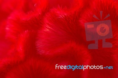 Background Abstract Stock Photo