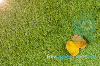 Background And Textured, Yellow Leaf Stock Photo