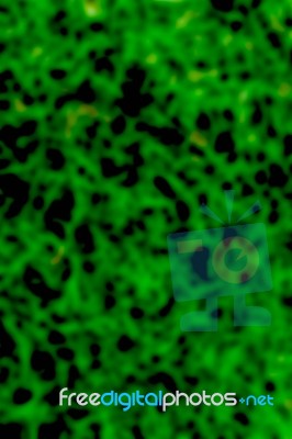 Background Blur Of Green Stock Photo