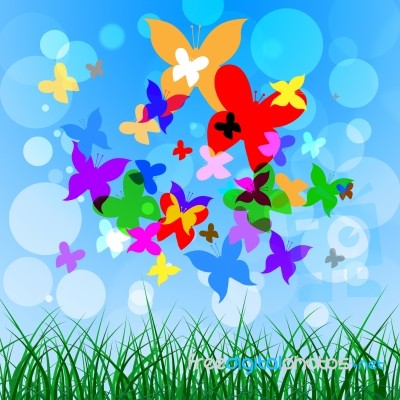 Background Butterflies Represents Summer Time And Creature Stock Image