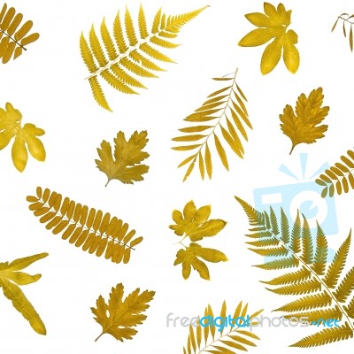 Background By Yellow Leaves And Orange Leaves And Dry Leaves And Flower Stock Photo