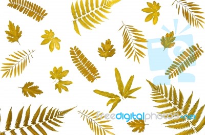 Background By Yellow Leaves And Orange Leaves And Dry Leaves And Flower Stock Photo