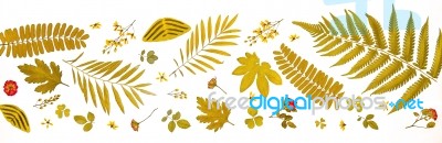 Background By Yellow Leaves And Orange Leaves And Dry Leaves And Flower Stock Photo