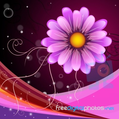 Background Flower Represents Backgrounds Bloom And Abstract Stock Image