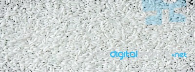 Background From Pile Of Rice Seed Stock Photo