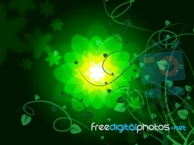 Background Glow Represents Light Burst And Flowers Stock Image