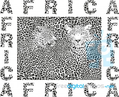 Background Leopard And Text Africa Stock Image