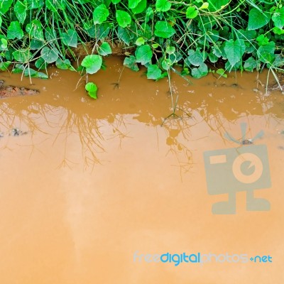 Background Of Muddy Water Reflection Of Grass In Water Stock Photo