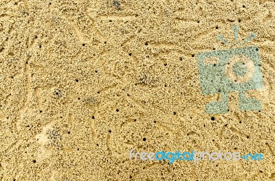 Background Of Sand Grains On The Beach, Yellow Floor Of Sand Grains On The Beach Stock Photo