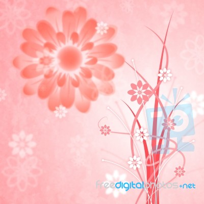 Background Pink Shows Bloom Petal And Blooming Stock Image