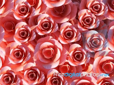 Background Roses Represents Design Petal And Flora Stock Image