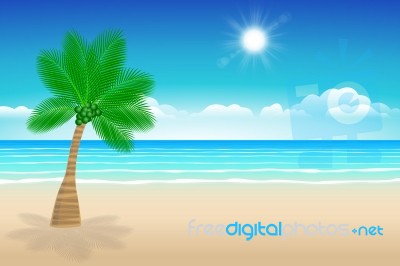 Background Sea Sand And Coconut Trees Stock Image