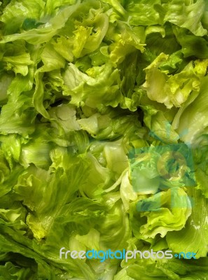 Background Vegetable Salad Stock Photo