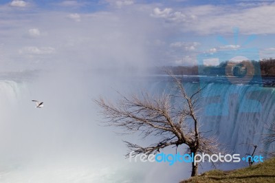 Background With A Tree, Gull And The Niagara Stock Photo