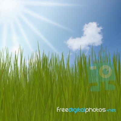 Background With Grass Field Against Blue Sky Stock Image