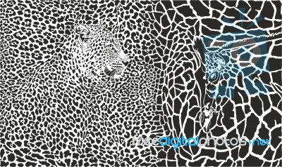 Background With Leopard And Giraffe Stock Image