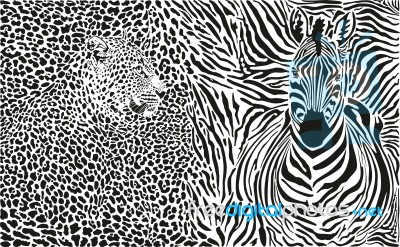 Background With Leopard And Zebra Stock Image