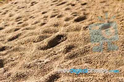 Background With Texture Of Sand And Dune In The Summer Stock Photo