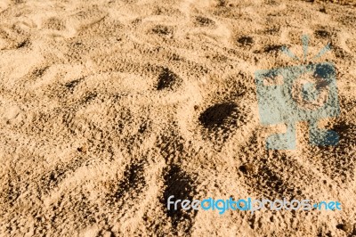 Background With Texture Of Sand And Dune In The Summer Stock Photo