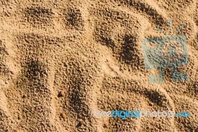 Background With Texture Of Sand And Dune In The Summer Stock Photo