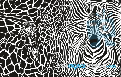 Background With Zebra And Giraffe Stock Image