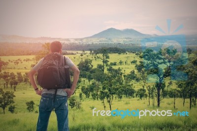 Backpacker In The Forest Stock Photo