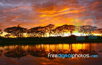 Backyard In The Evening With A Cloudy Day Stock Photo