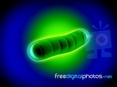 Bacteria Stock Image