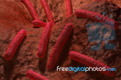 Bacteria Stock Image