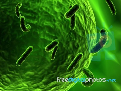 Bacteria Attacking Cell Stock Image