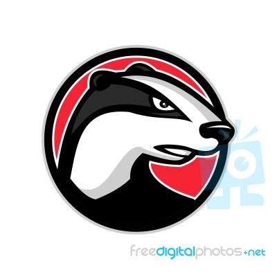 Badger Head Circle Mascot Stock Image