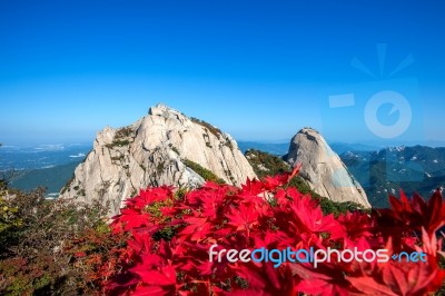 Baegundae Peak And Bukhansan Mountains In Autumn,seoul In South Korea Stock Photo