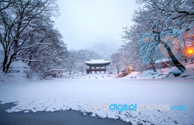 Baekyangsa Temple And Falling Snow, Naejangsan Mountain In Winter With Snow,famous Mountain In Korea.winter Landscape Stock Photo