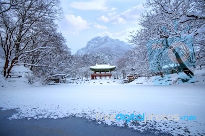 Baekyangsa Temple And Falling Snow, Naejangsan Mountain In Winter With Snow,famous Mountain In Korea.winter Landscape Stock Photo