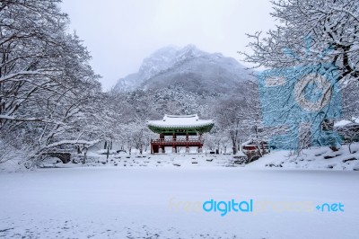 Baekyangsa Temple And Falling Snow, Naejangsan Mountain In Winter With Snow,famous Mountain In Korea.winter Landscape Stock Photo