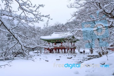 Baekyangsa Temple And Falling Snow, Naejangsan Mountain In Winter With Snow,famous Mountain In Korea.winter Landscape Stock Photo