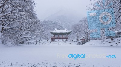 Baekyangsa Temple And Falling Snow, Naejangsan Mountain In Winter With Snow,famous Mountain In Korea.winter Landscape Stock Photo