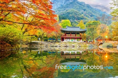 Baekyangsa Temple In Autumn,naejangsan Park In Korea Stock Photo