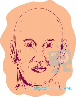 Bald Caucasian Male Head Drawing Stock Image