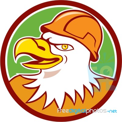 Bald Eagle Construction Worker Head Circle Cartoon Stock Image