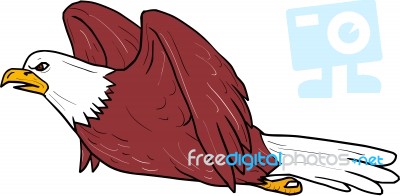 Bald Eagle Flying Cartoon Stock Image