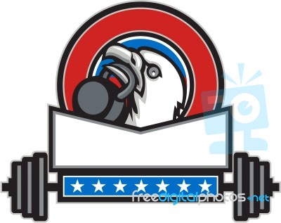 Bald Eagle Lifting Kettleball Barbell Circle Retro Stock Image