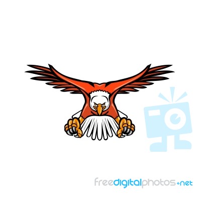 Bald Eagle Swooping Front Mascot Stock Image