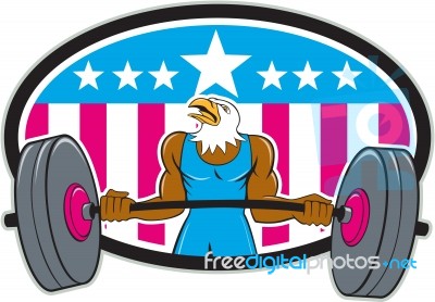 Bald Eagle Weightlifter Barbell Usa Flag Oval Stock Image