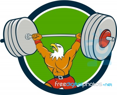 Bald Eagle Weightlifter Lifting Barbell Circle Cartoon Stock Image