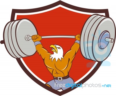 Bald Eagle Weightlifter Lifting Barbell Crest Cartoon Stock Image