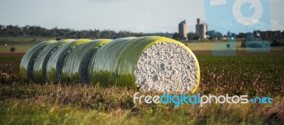 Bales Of Cotton In Oakey, Queensland Stock Photo