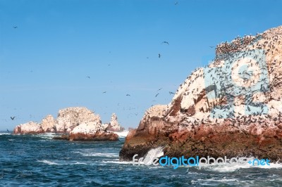 Ballestas Islands, Paracas National Reserve - 